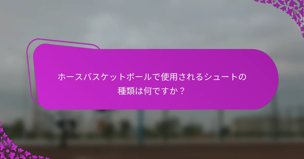 ホースバスケットボールで使用されるシュートの種類は何ですか？