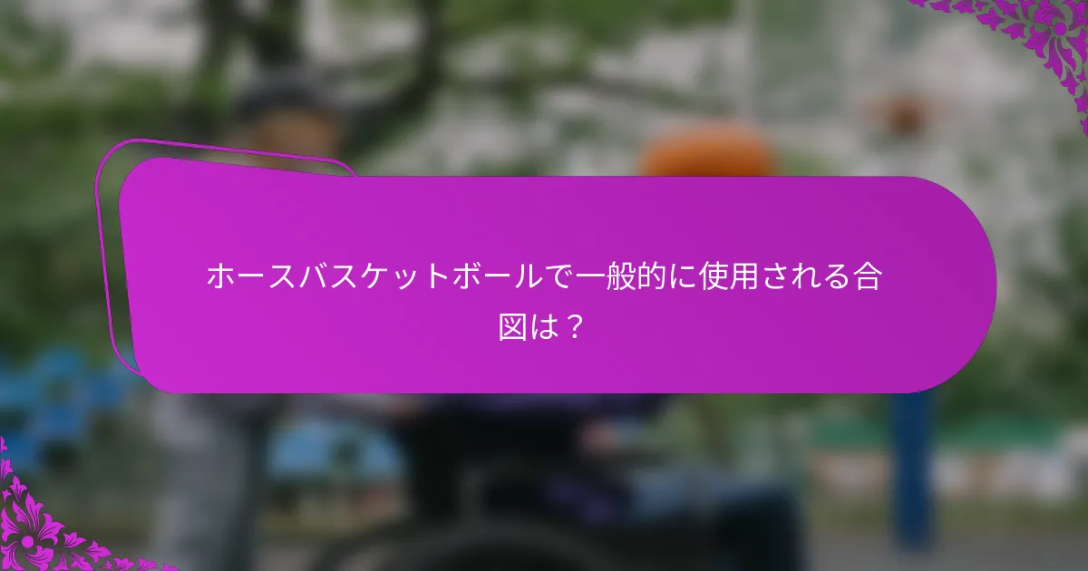 ホースバスケットボールで一般的に使用される合図は？